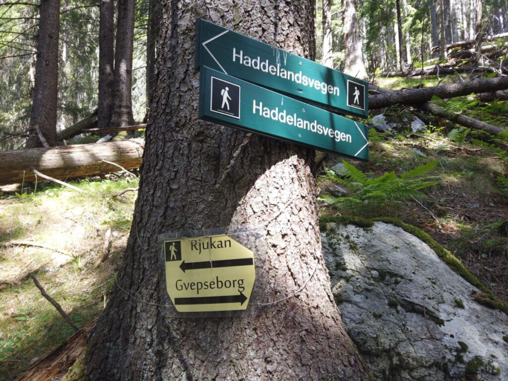 Bilde av skilt med Haddelandsvegen og Gvepseborg.