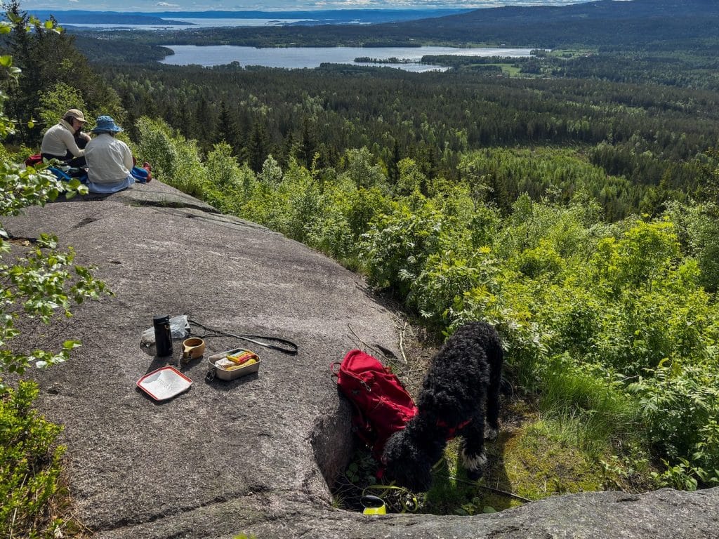 Utsikt fra Barlindåsen
